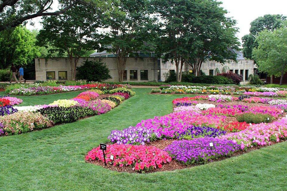 Picture of The Dallas Arboretum and Botanical Garden