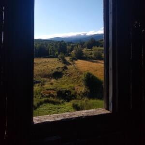 Gallery Photo 41