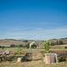 Rustic Olympia's Valley Estate Ceremony Setup