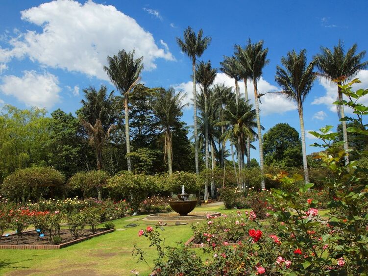 Picture of Jardín Botánico de Bogotá José Celestino Mutis