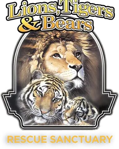 Picture of Lions, Tigers, And Bears