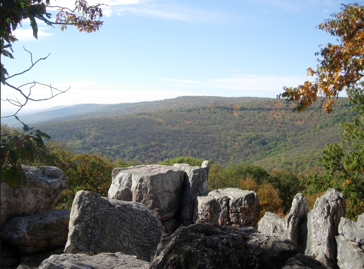Picture of Catoctin Mountain Park and Cunningham Falls State Park