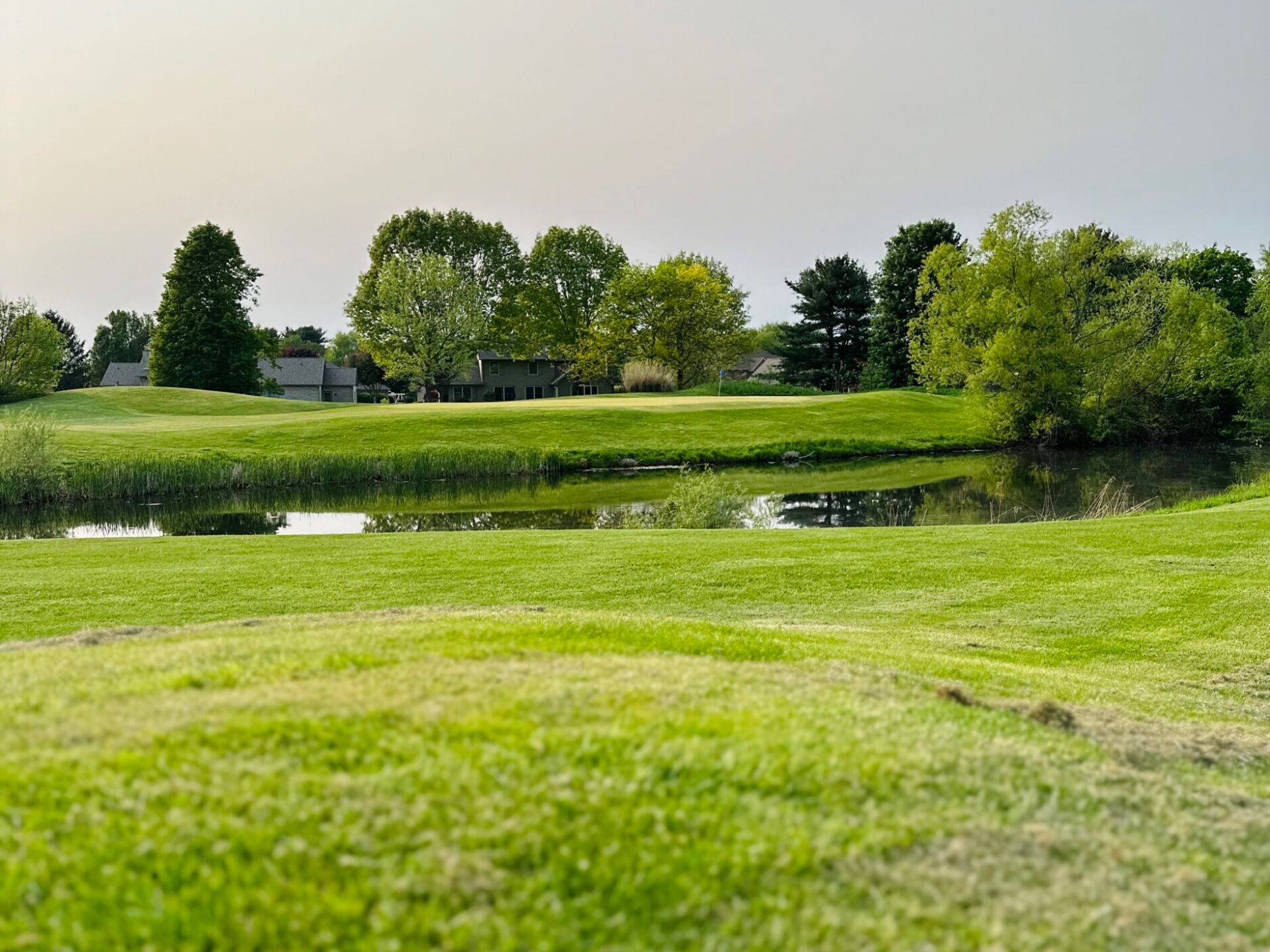 Picture of Golf 