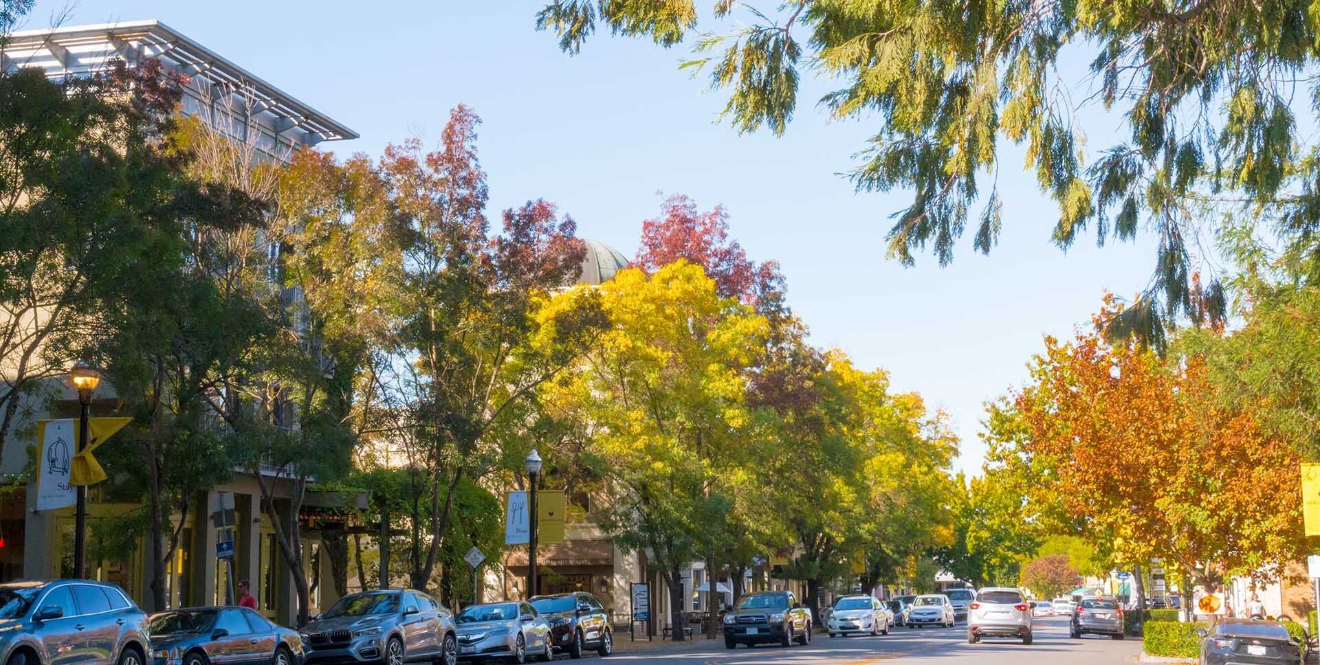 Picture of Healdsburg Plaza