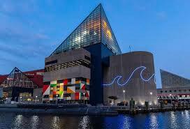 Picture of National Aquarium