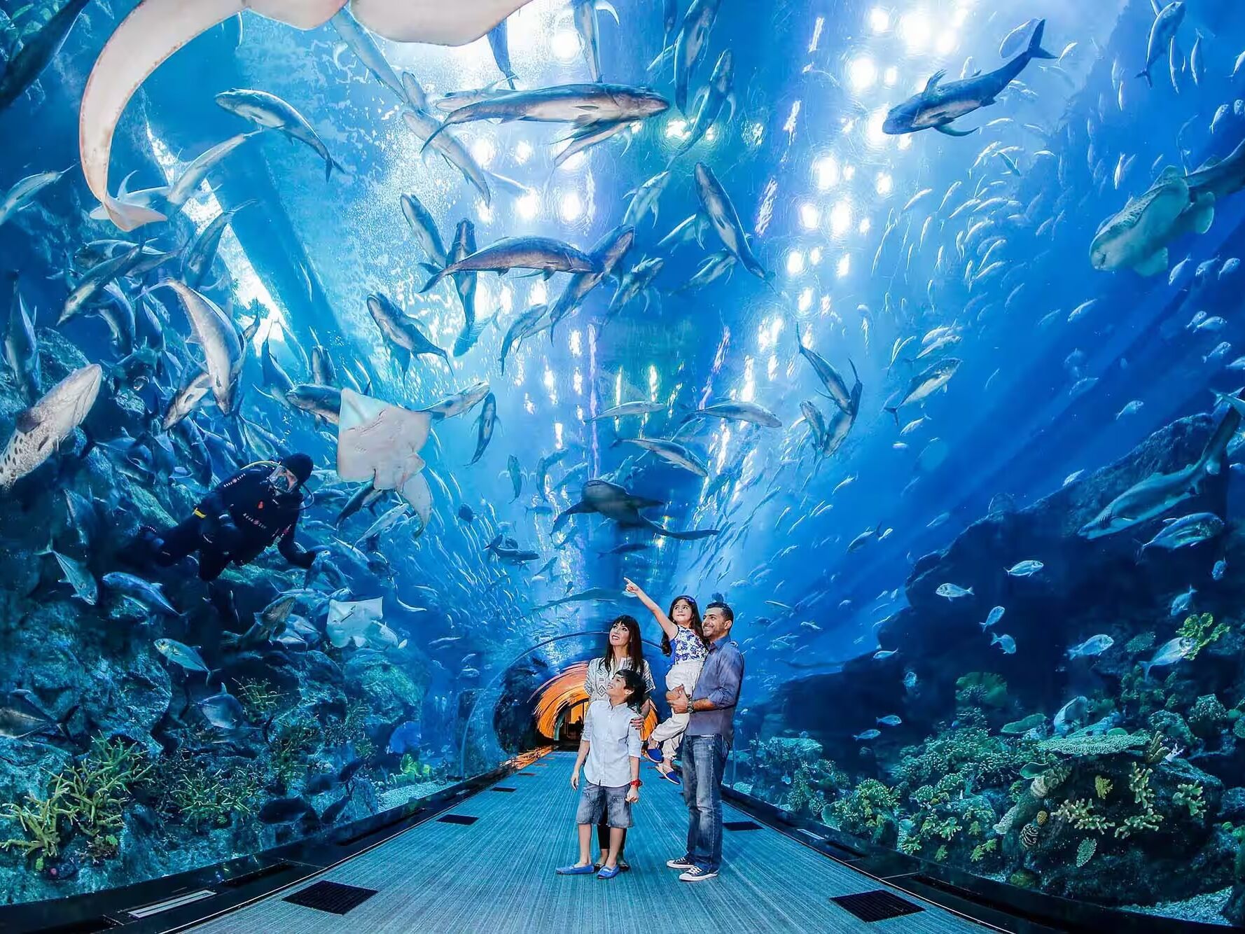 Picture of Dubai Aquarium & Underwater Zoo