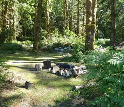 Picture of Tent Camping