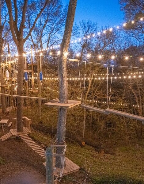 Picture of TreeRush Adventures at Fontenelle Forest
