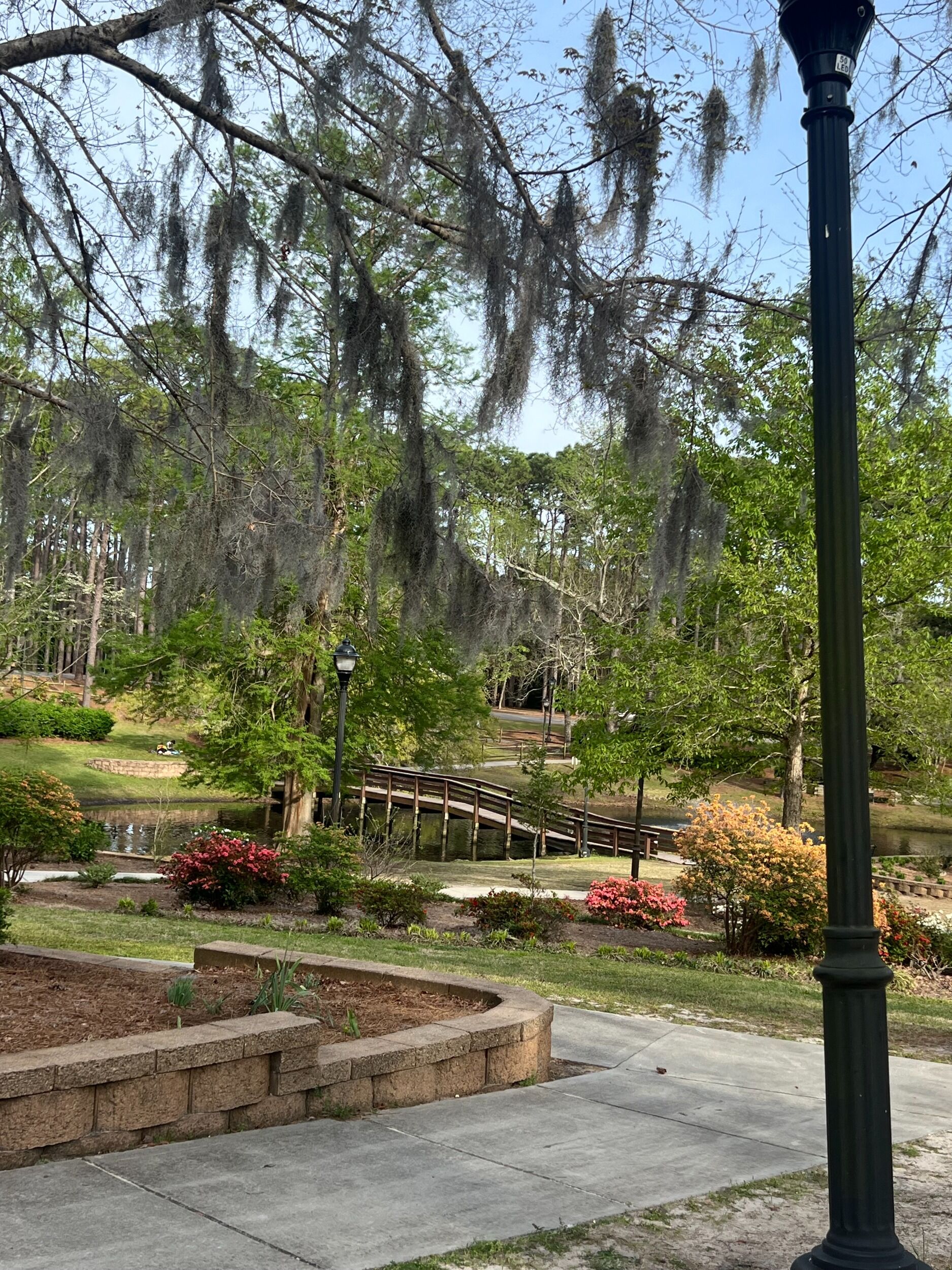 Picture of Long Leaf Park