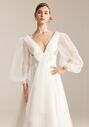 AW Bridal AW Maraca Wedding Dress A-Line Wedding Dress - thumbnail - 4