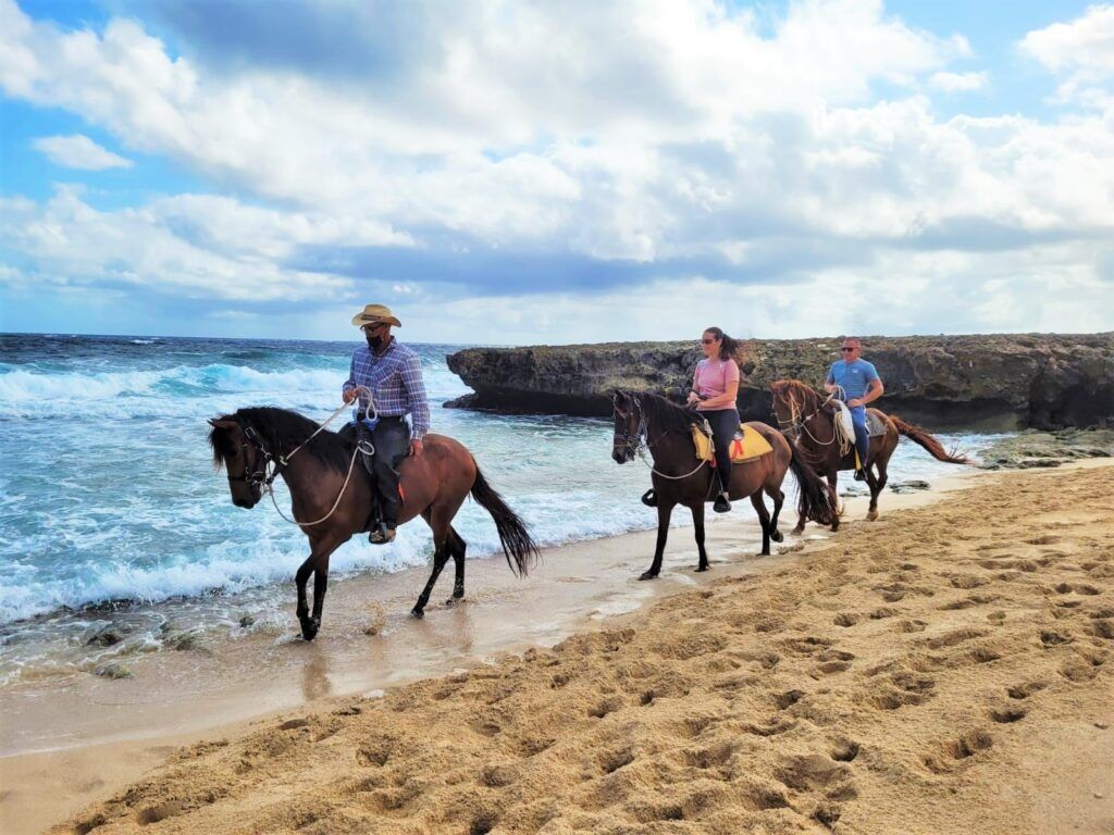 Picture of Horseback Riding