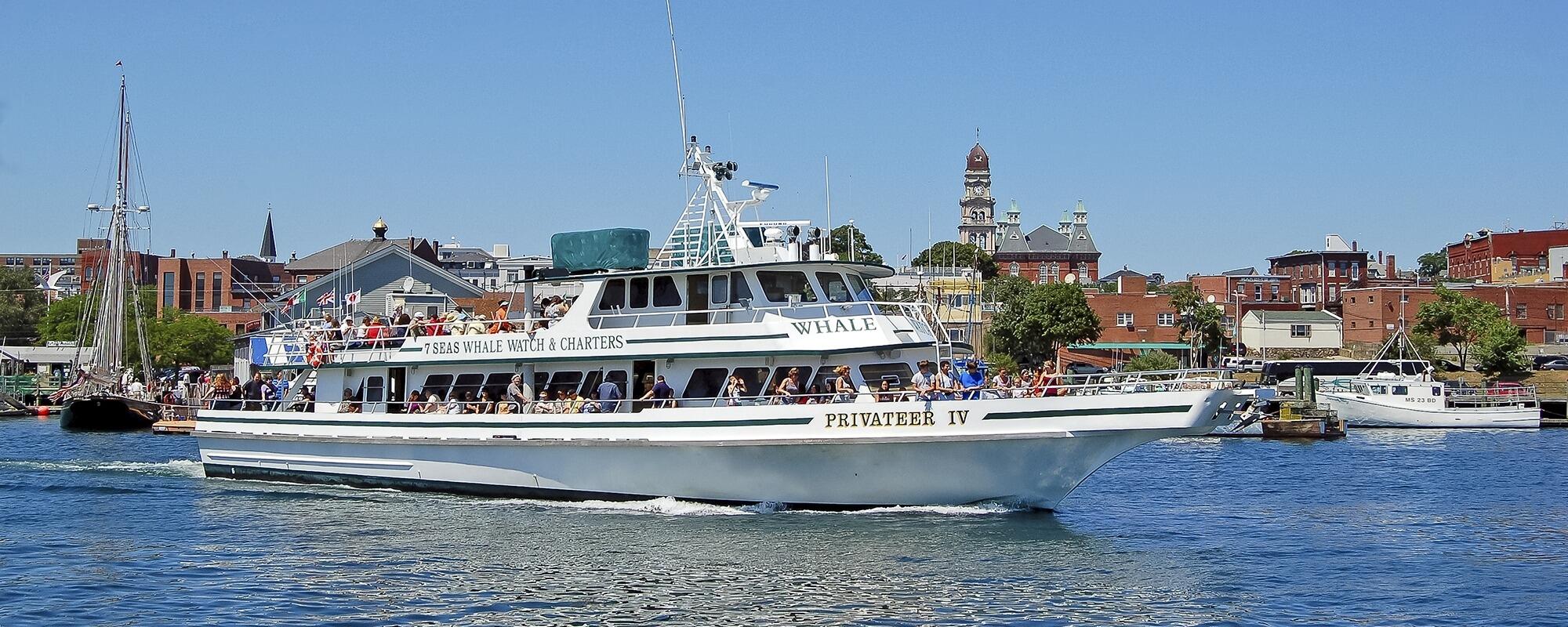 Picture of 7 Seas Whale Watch
