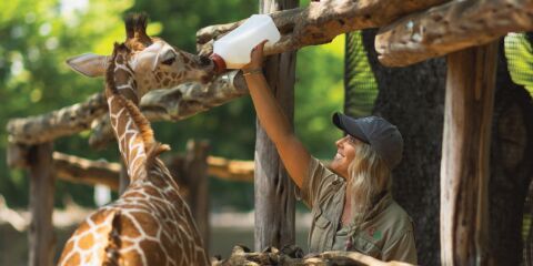 Picture of Fort Worth Zoo