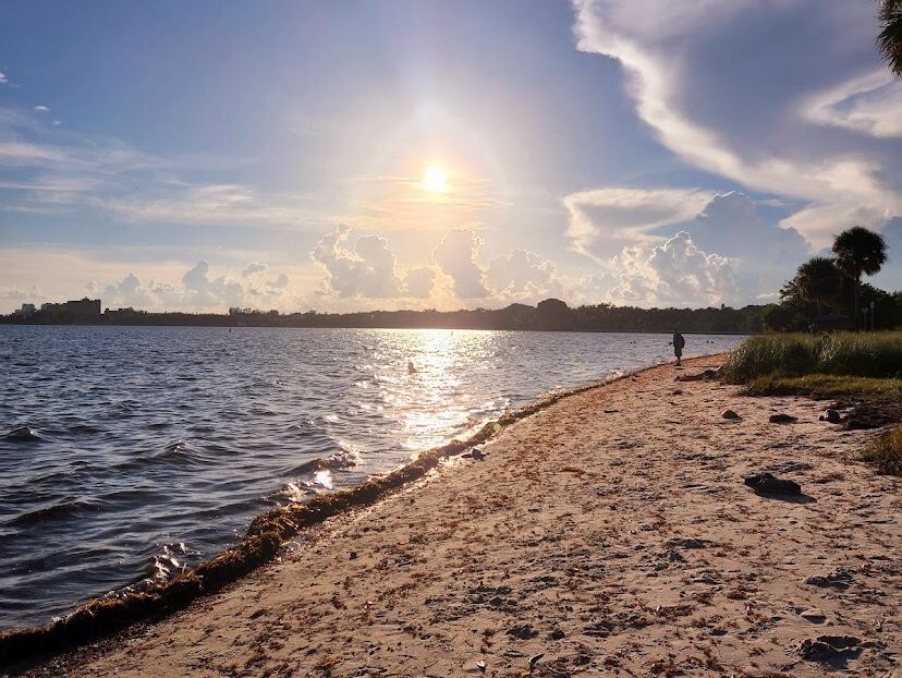 Picture of Hobie Island Beach Park
