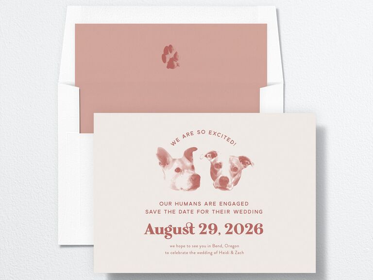 29 Save-The-Date Wording & Message Examples