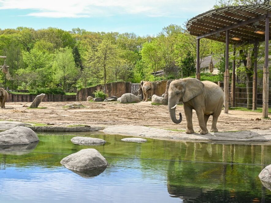 Picture of Cleveland Metroparks Zoo