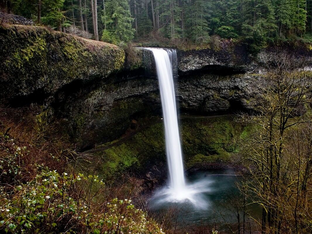 Picture of Silver Falls State Park