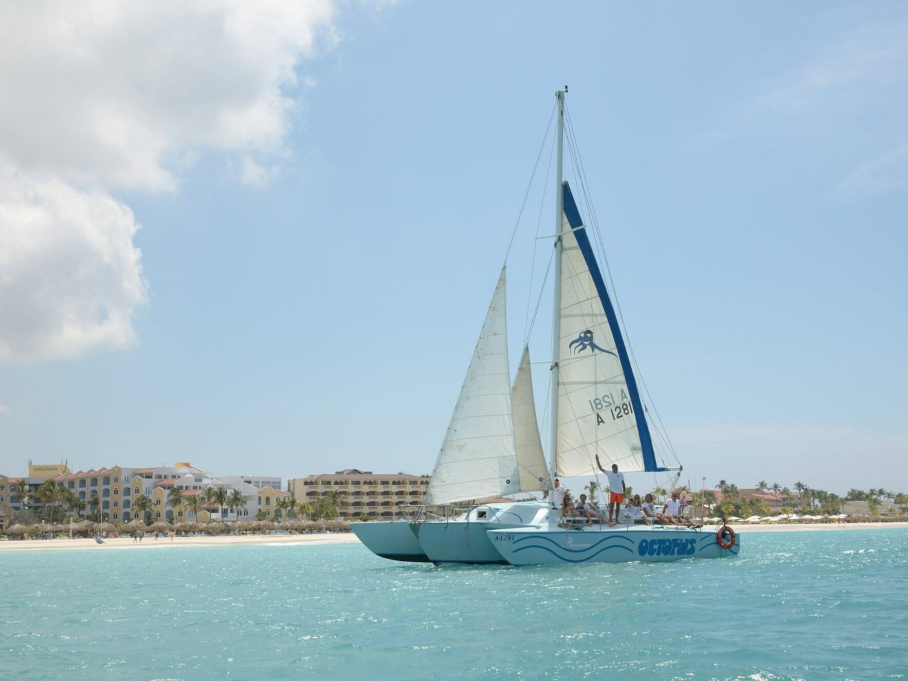 Picture of Octopus Aruba Sailing, Snorkeling, Sunset & Private Tours
