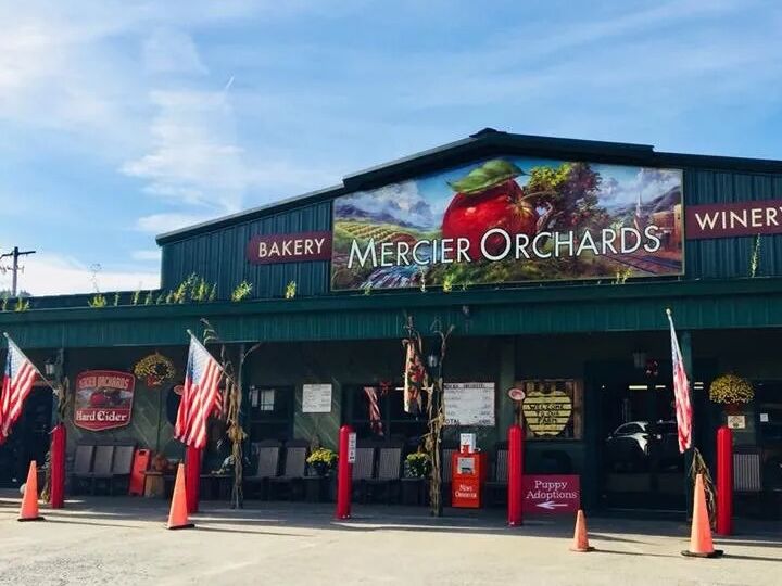 Picture of Mercier Orchards