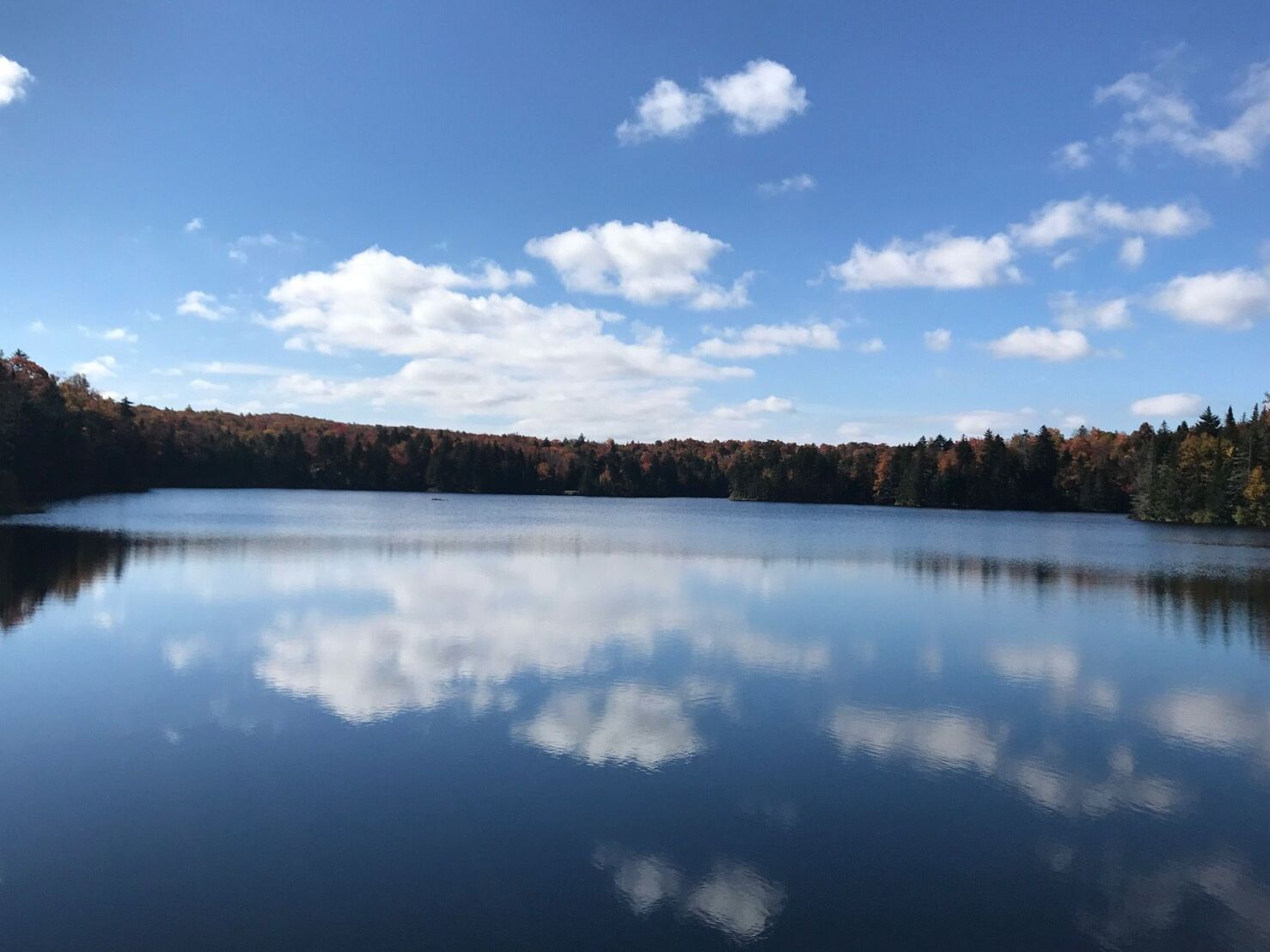 Picture of Woodford Trail Hike