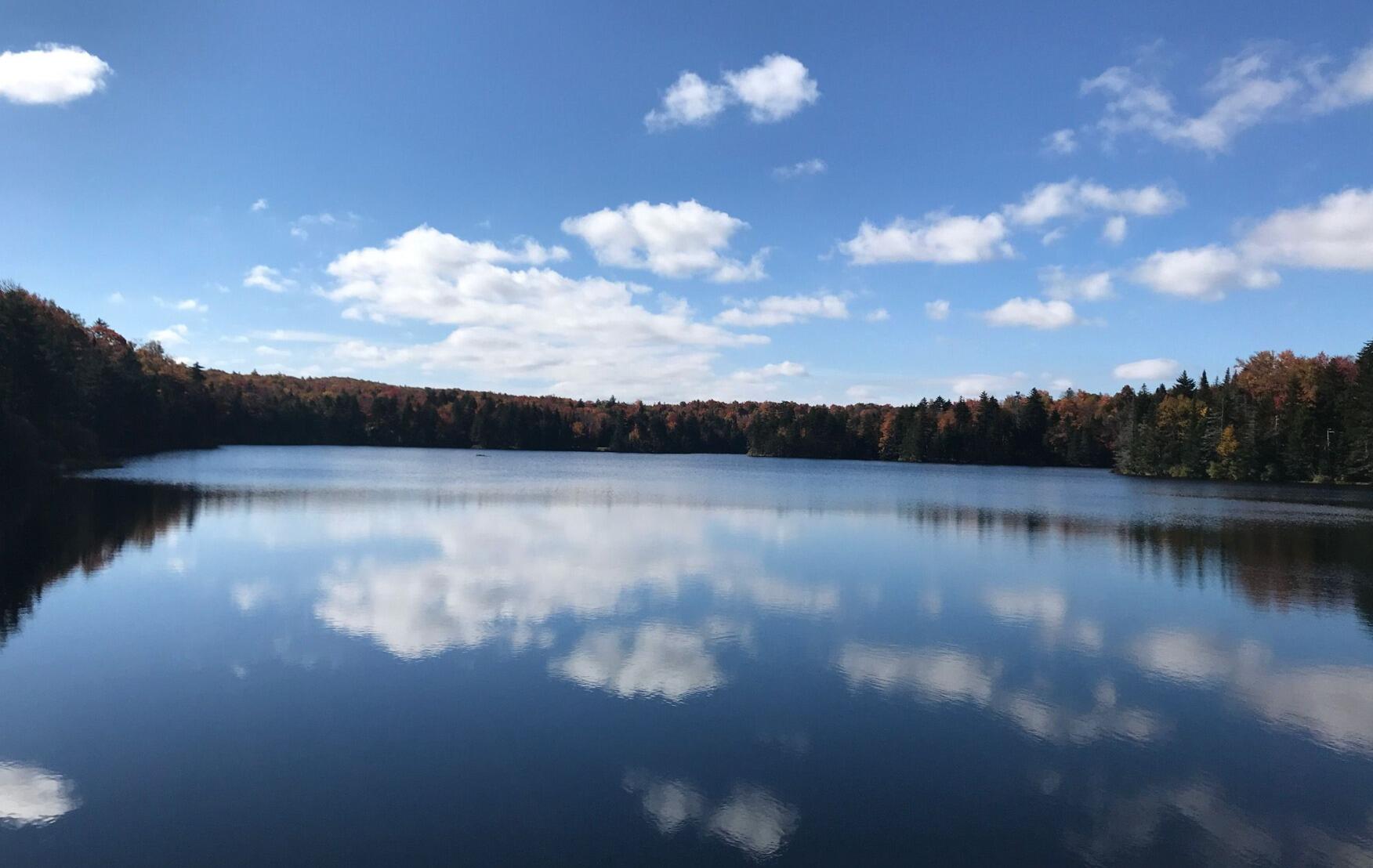 Picture of Woodford Trail Hike