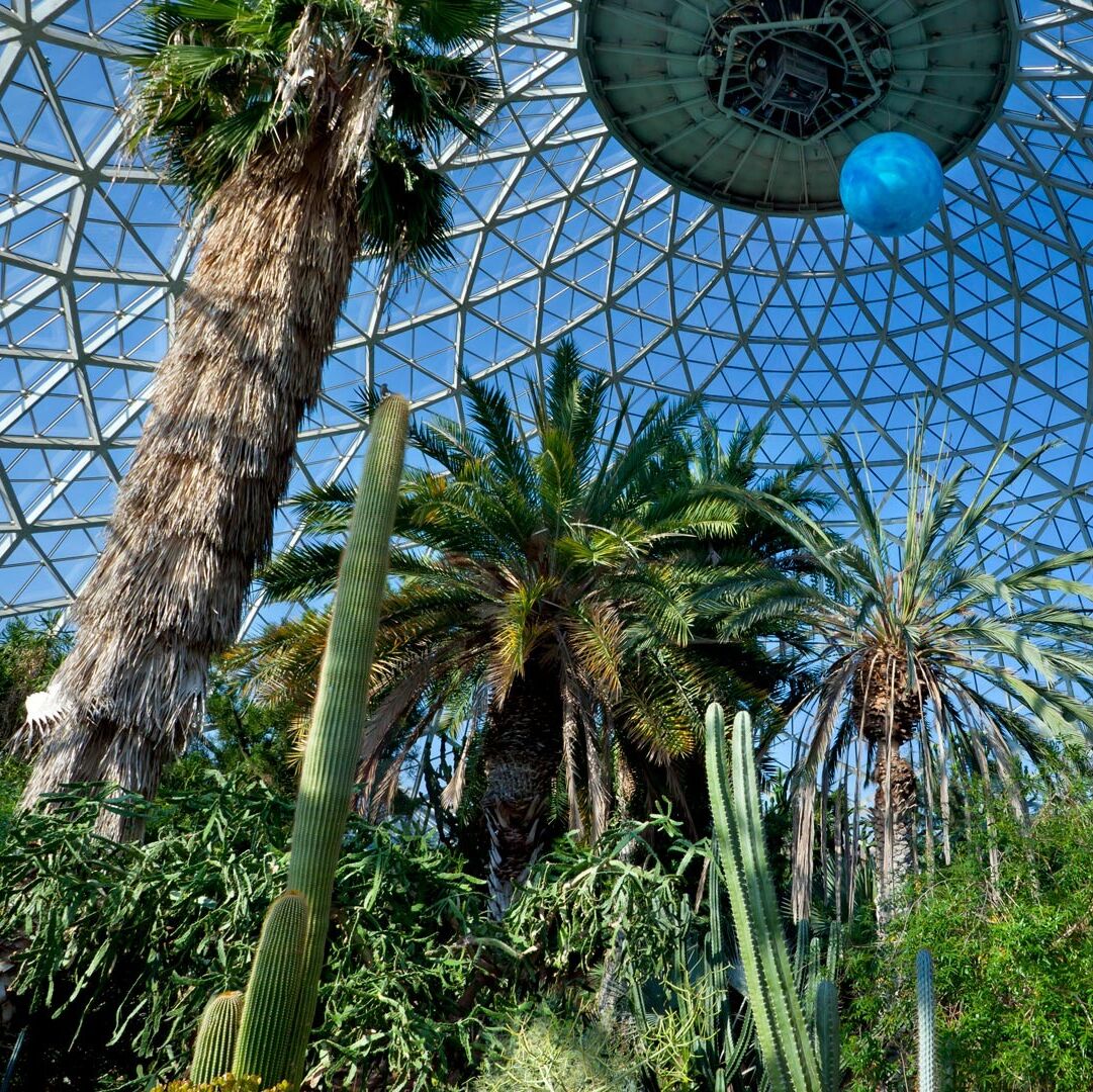Picture of Mitchell Park Domes Horticulture Conservatory