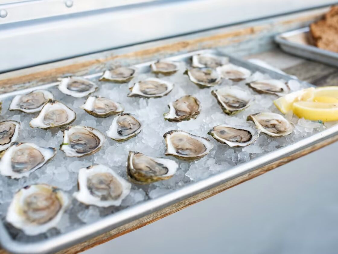 Picture of The Raw Bar at Island Creek Oyster Farm