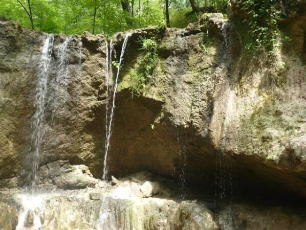 Picture of Clark Creek Nature Area