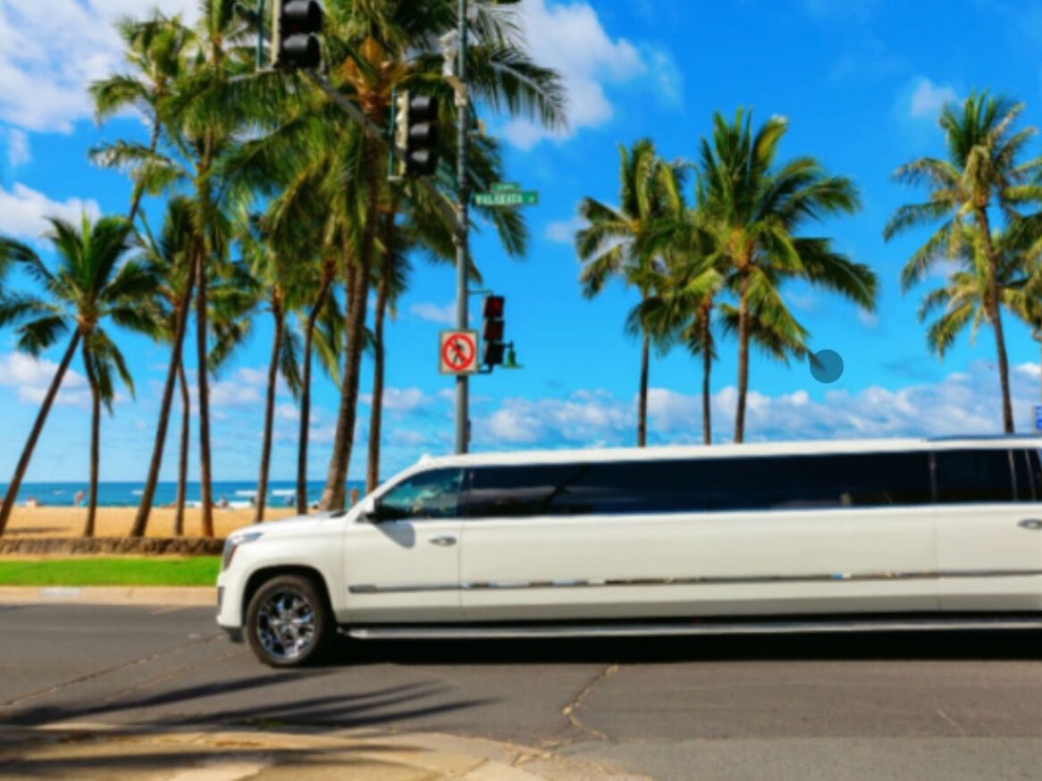 Picture of Cabo Travel Solutions