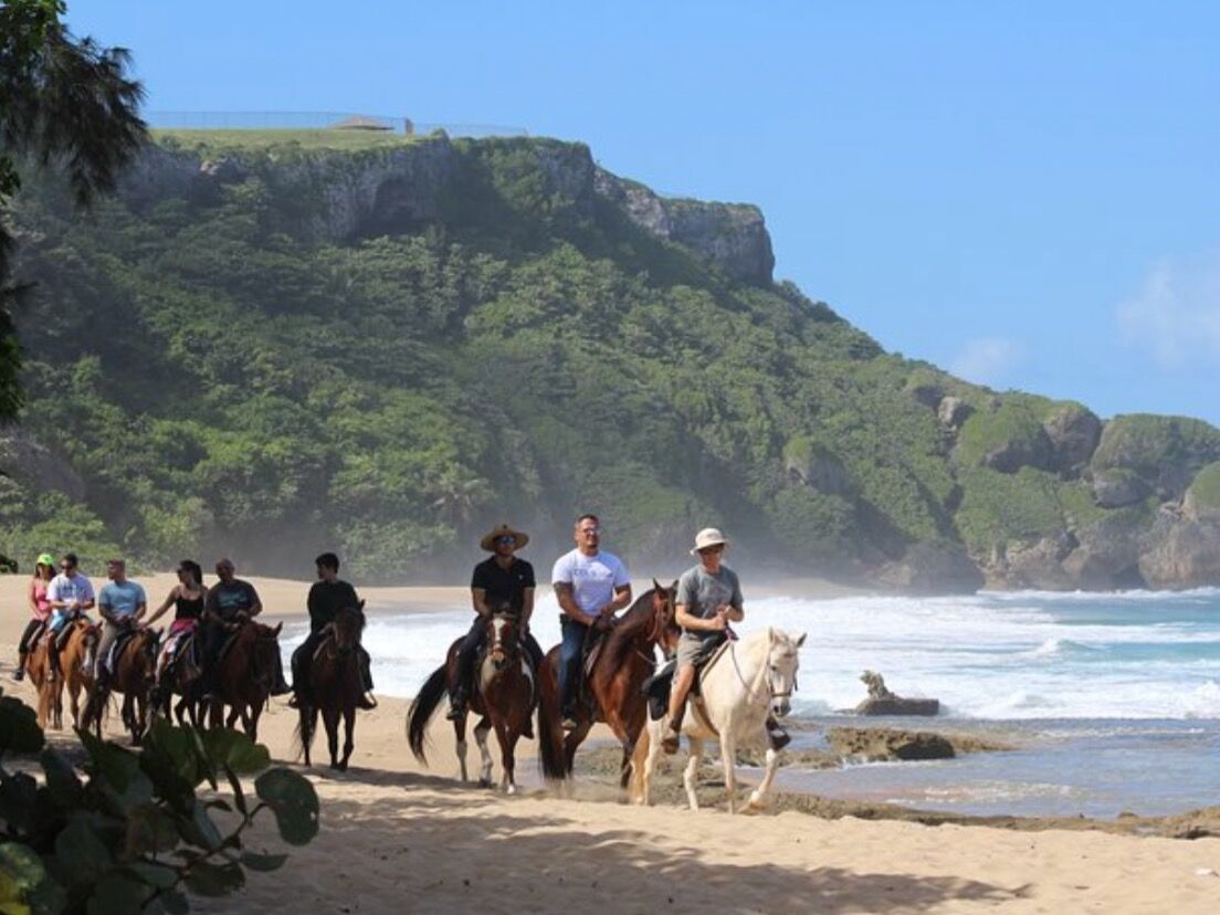 Picture of Tropical Trail Rides