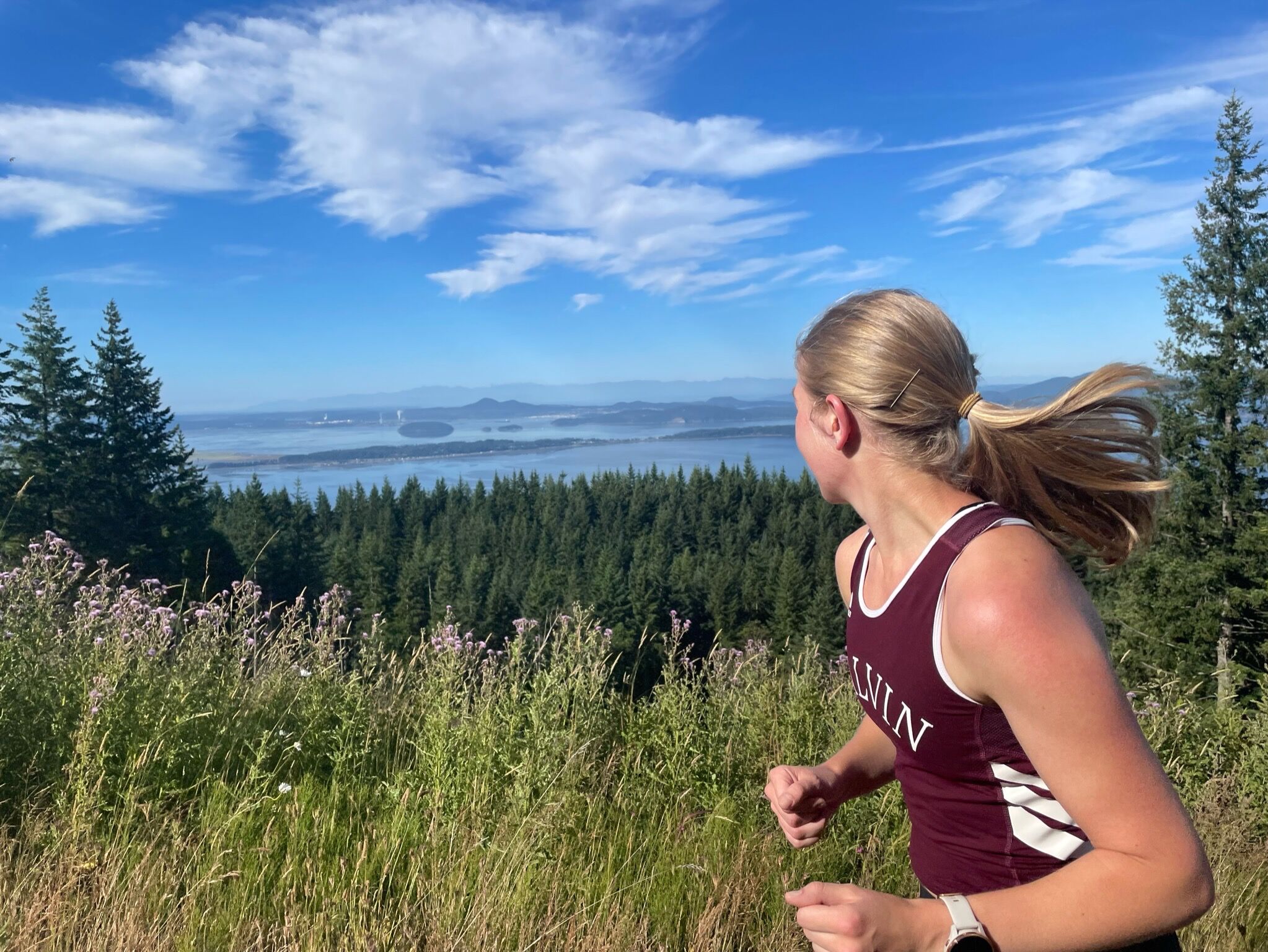 Picture of Chuckanut Mountain / Pine & Cedar Lakes County Park