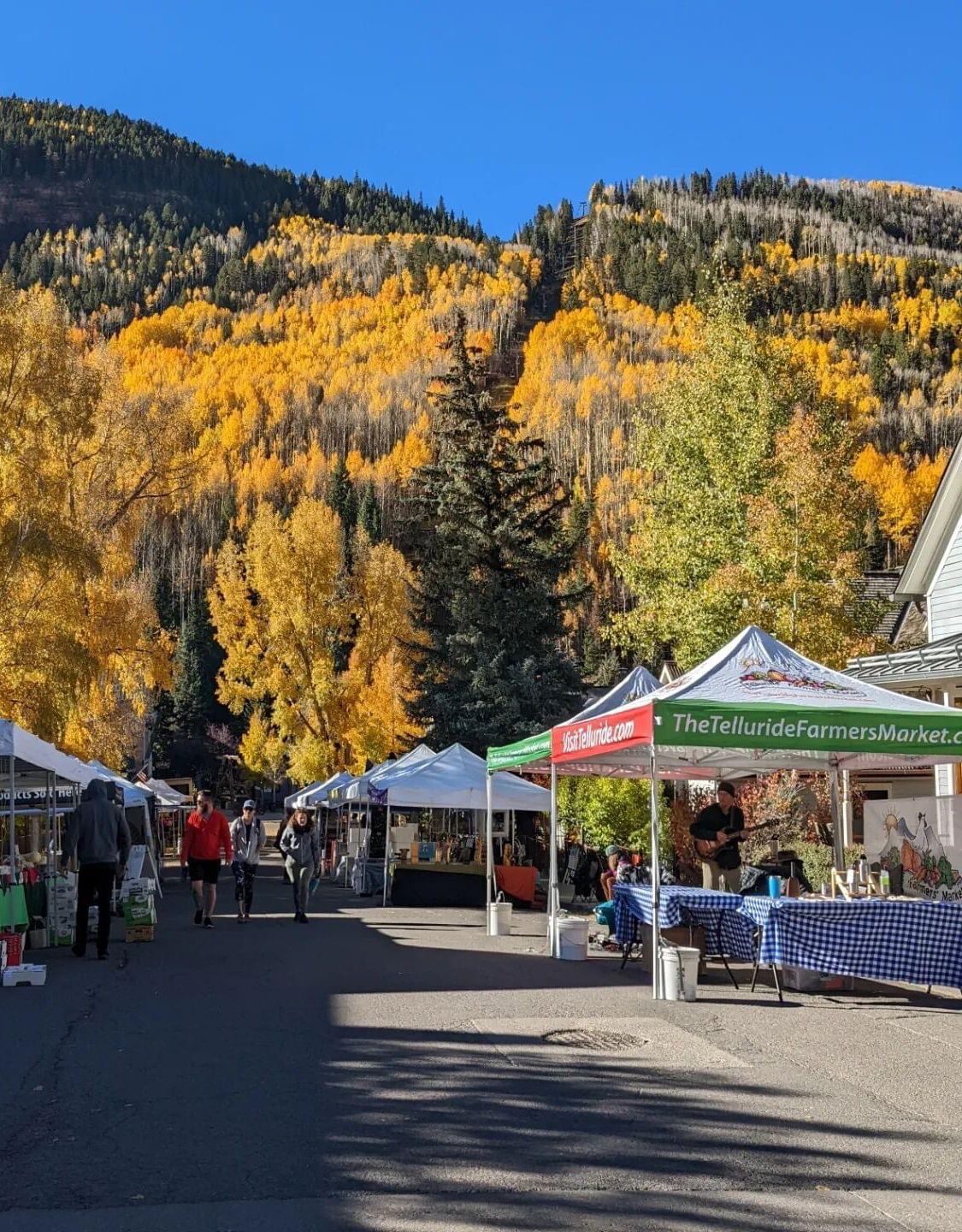 Picture of Telluride Farmer's Market (Friday)