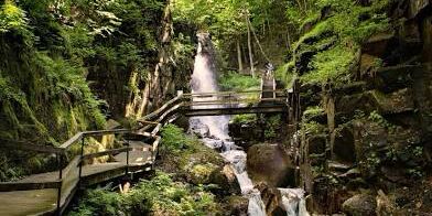 Picture of Flume Gorge State Park