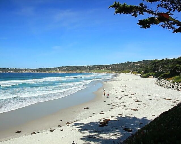 Picture of Carmel Beach 