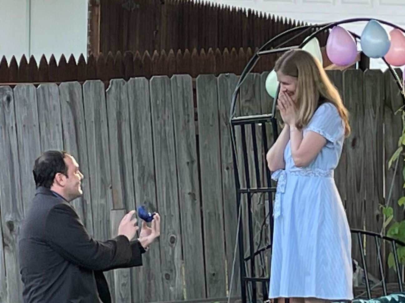 Picture of The Proposal