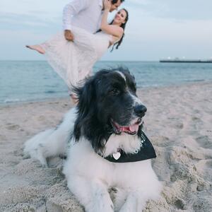 Gallery Photo 40