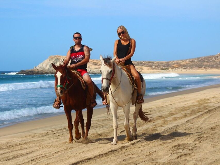 Picture of Horseback Riding