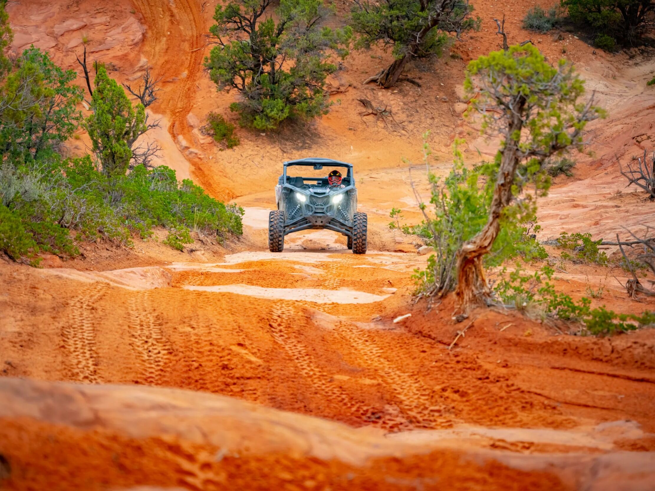Picture of Zion Pines UTV Tour