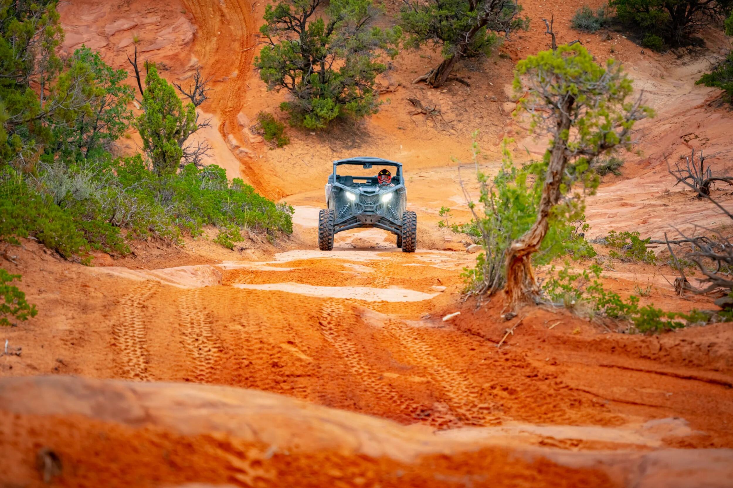 Picture of Zion Pines UTV Tour