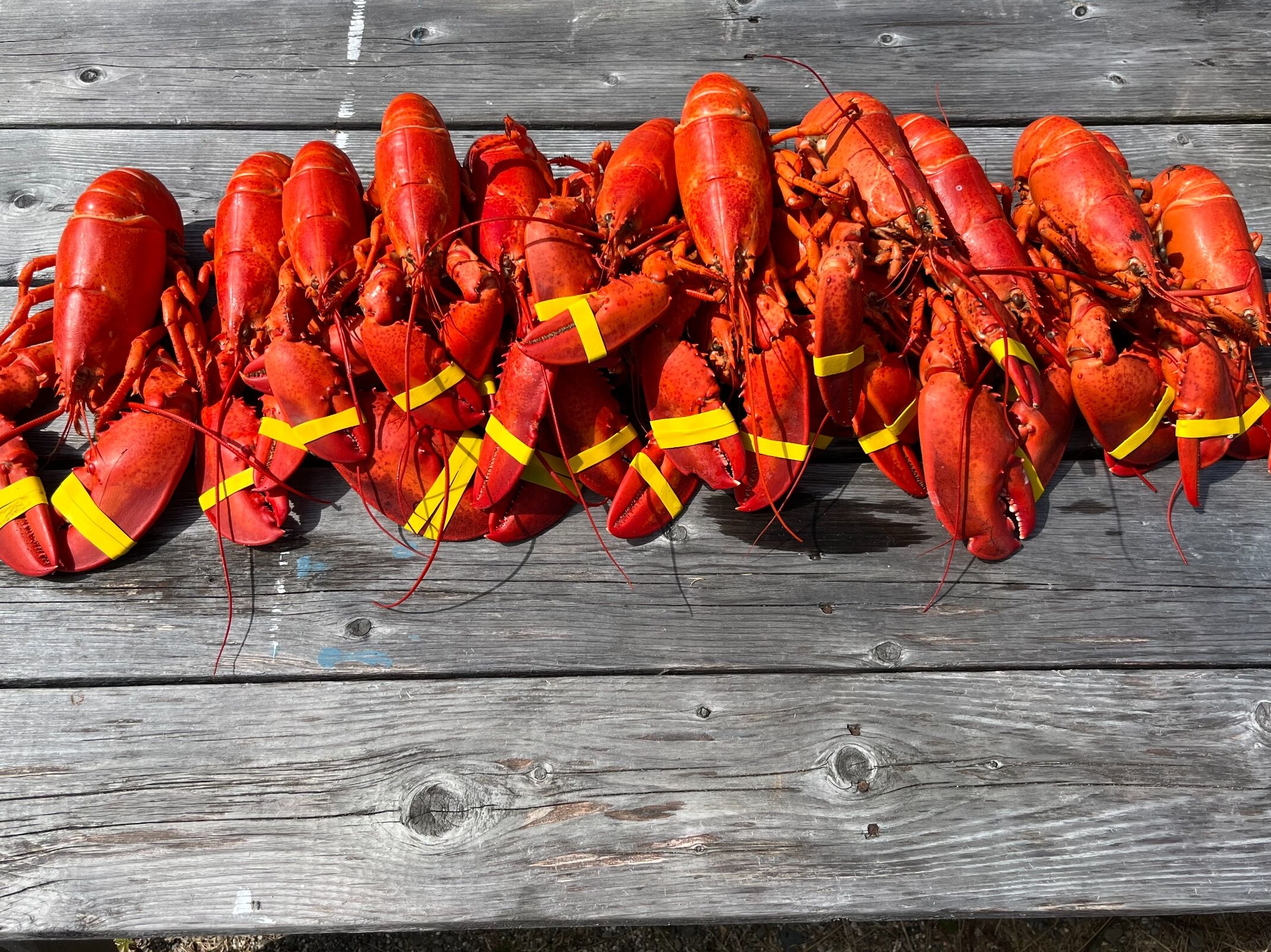 Picture of Beal's Lobster Pier