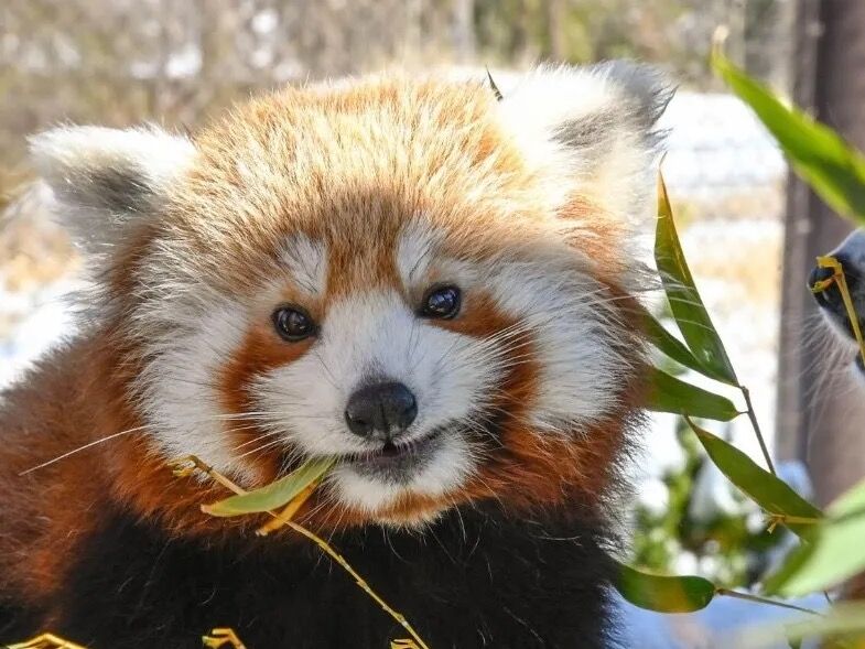 Picture of Oklahoma City Zoo
