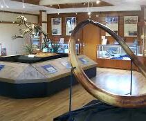 Picture of The Palm Beach Museum of Natural History