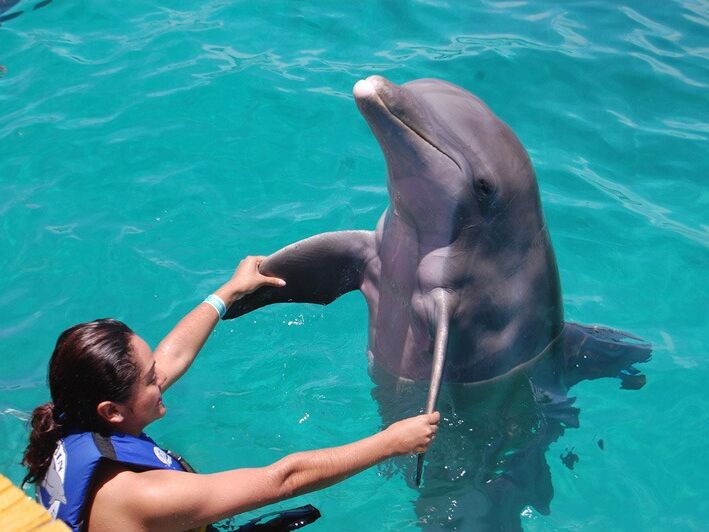 Picture of Dolphin Discovery Cancún