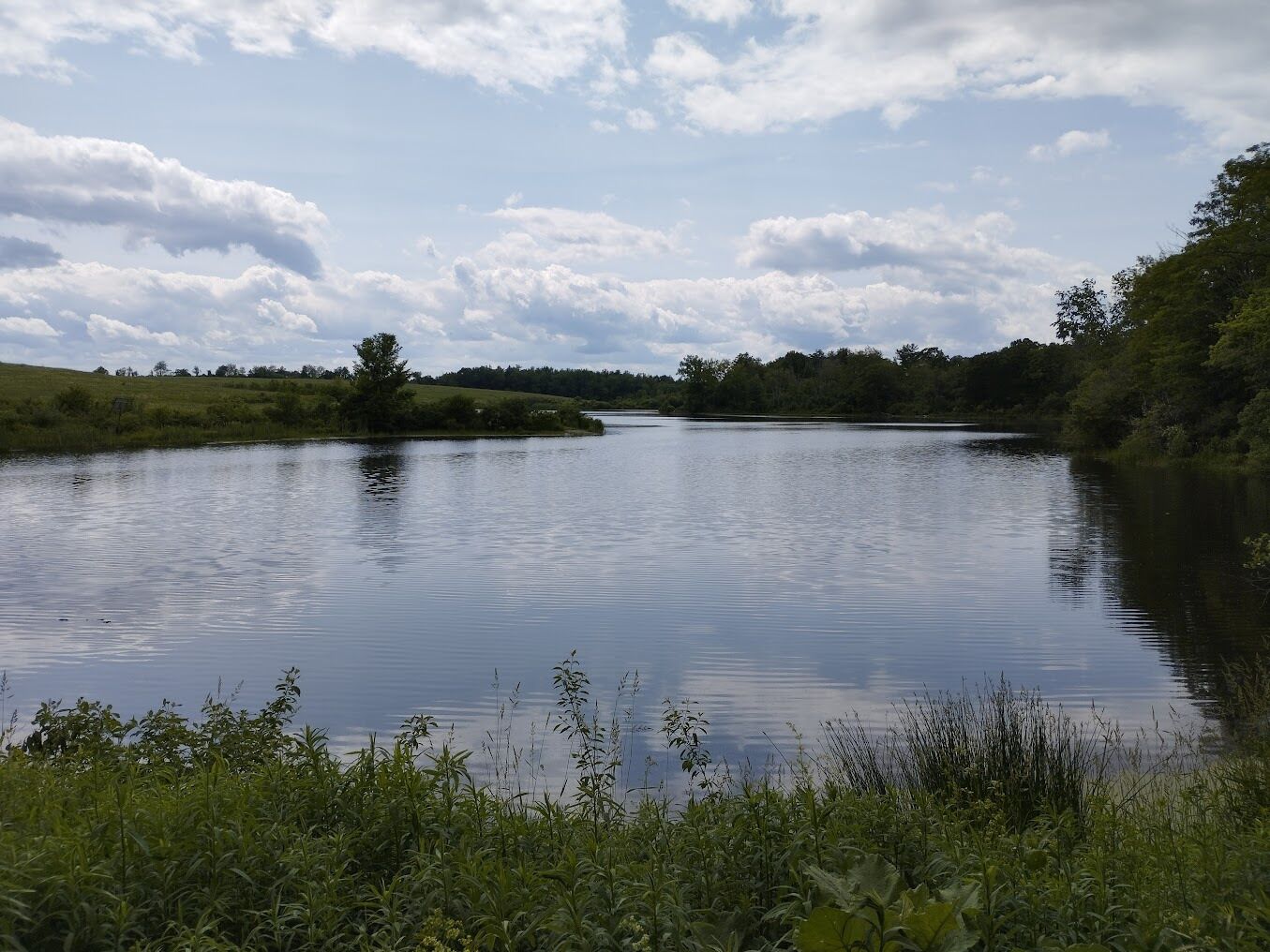 Picture of Hiking trails