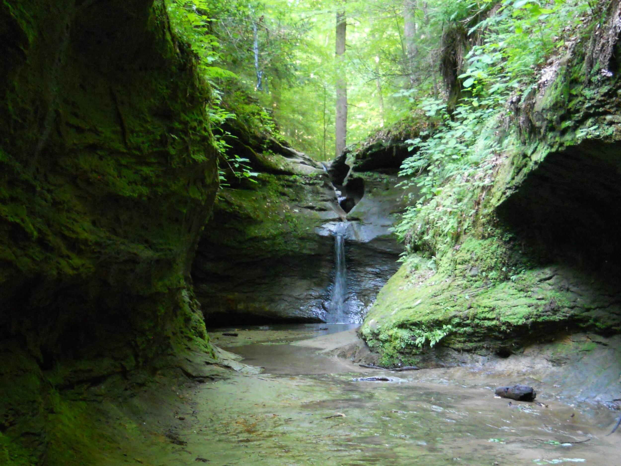 Picture of Turkey Run State Park