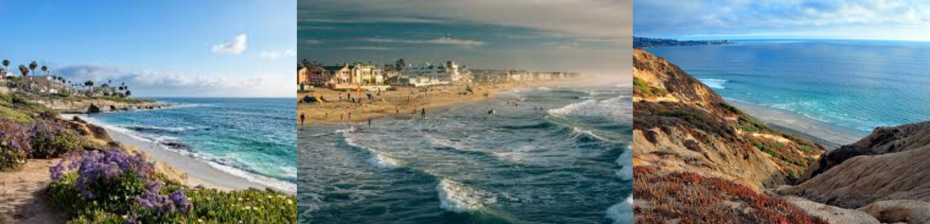 Picture of Have a Beach Day
