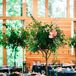 Miniature Tree Centerpieces