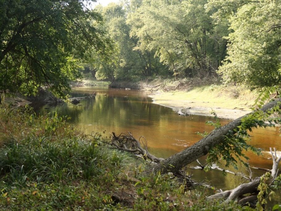 Picture of Rock Springs Conservation Area