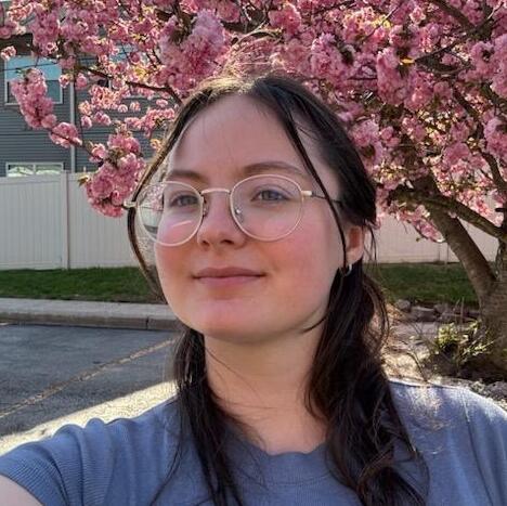 Amaryllis Shafer