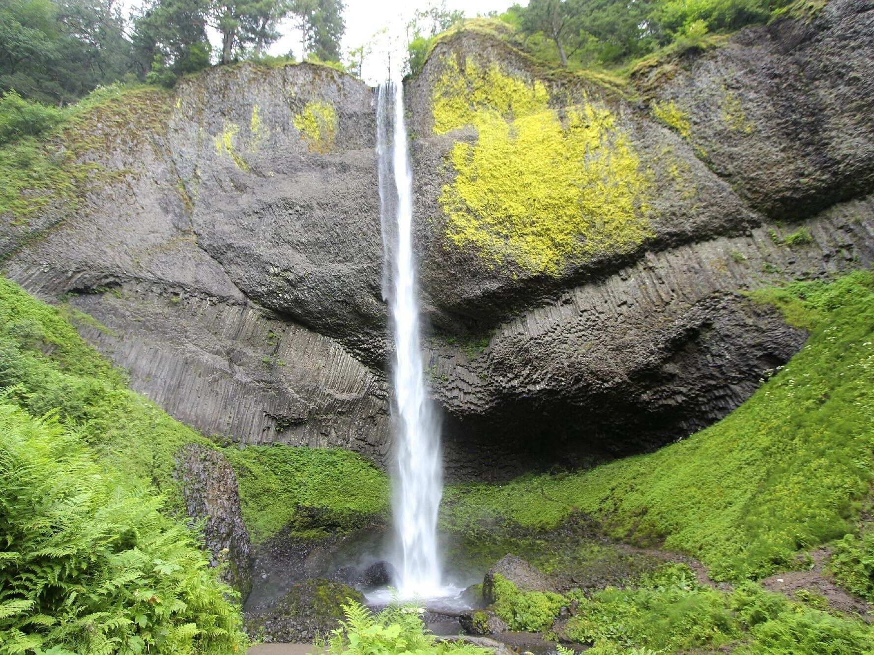 Picture of Latourell Falls Trailhead
